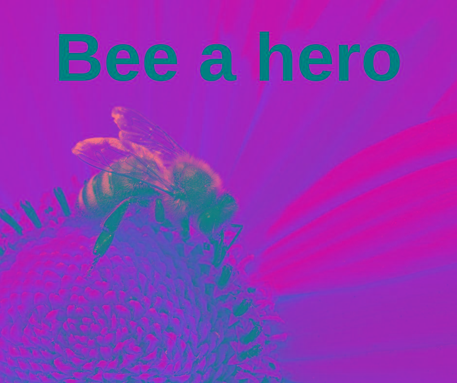 Diffuz - Bee a Hero