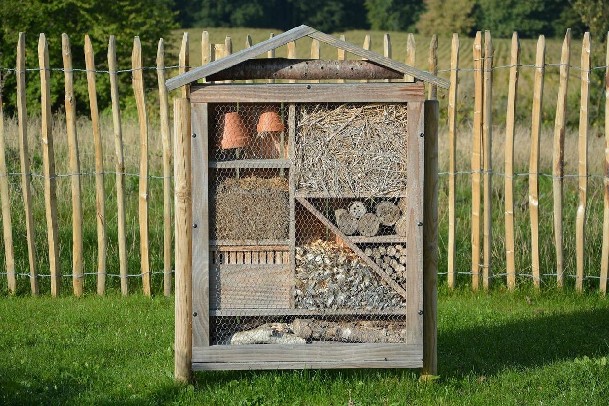 Diffuz - Construction de nichoirs et abris à insectes