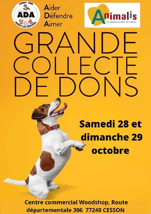 Diffuz Protection Animale Grande Collecte De Dons diffuz-protection-animale-grande-collecte-de-dons