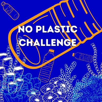 #NoPlasticChallenge