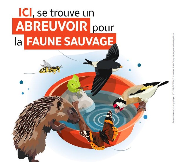 Image du défi