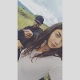 Caly K.