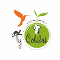 Ty Colibri