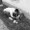 Alix C.